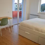 Semesterbostad Casa Da Varzea - O Castelo A Janela!!! *